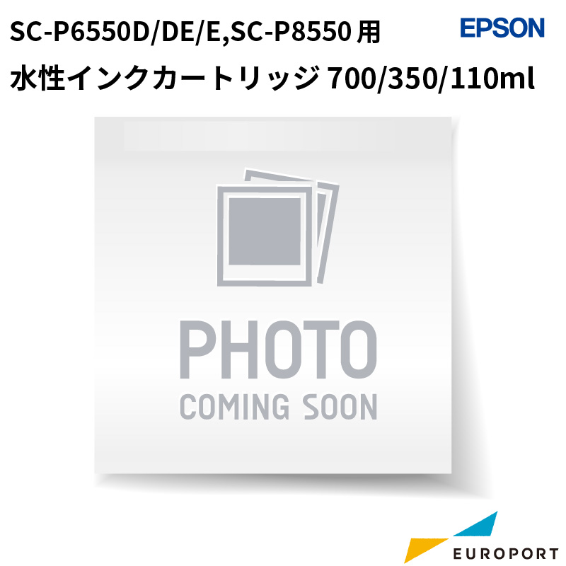 エプソン 水性インクジェットプリンター用 インクカートリッジ SC26 [110/350/700ml] [E-SC26]