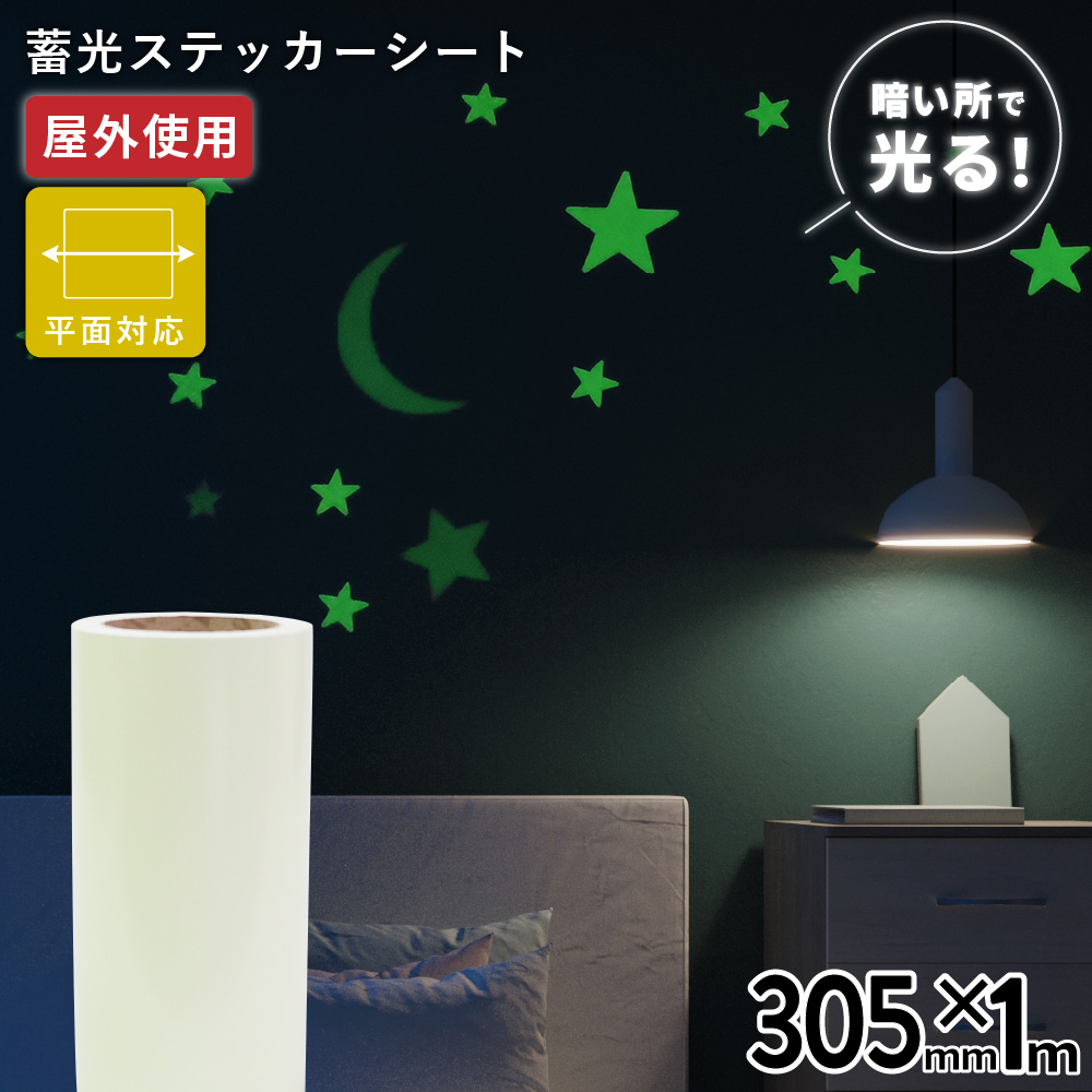 蓄光ルミナス TLX [305mm幅×1m切売] カッティング用ステッカーシート [TLX-03WC]