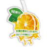 パネル・POP