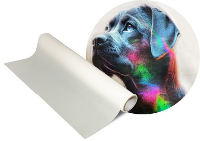 DTFフィルム ホログラム