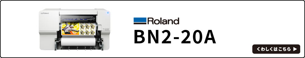 BN-20