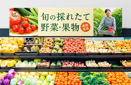 SC-T5750D ボード紙 店頭掲示物 展示会 B1 B2サイズ