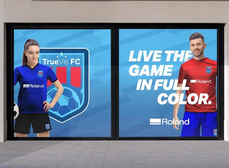 ウィンドウグラフィック